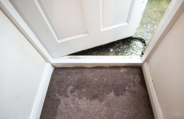 Wet Carpet Restoration in Monument
