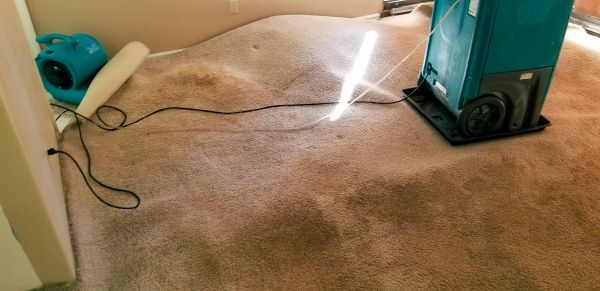 Carpet Water Extraction in Monument