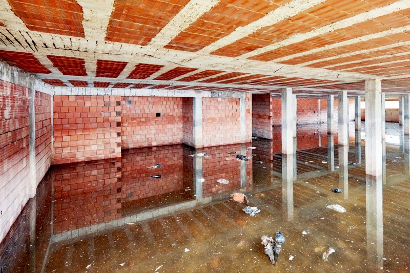 Basement Water Removal
