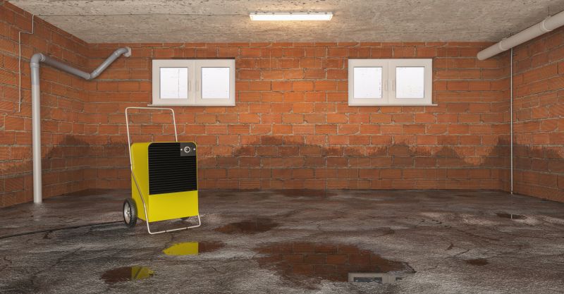 Basement Water Removal