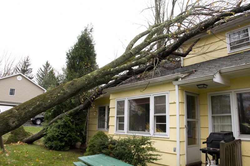 Disaster Restoration Service
