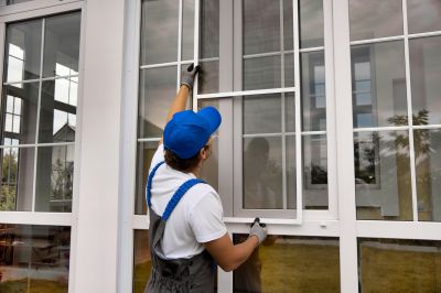Repaired Siding and Windows