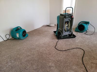 Expert Water Damage Team